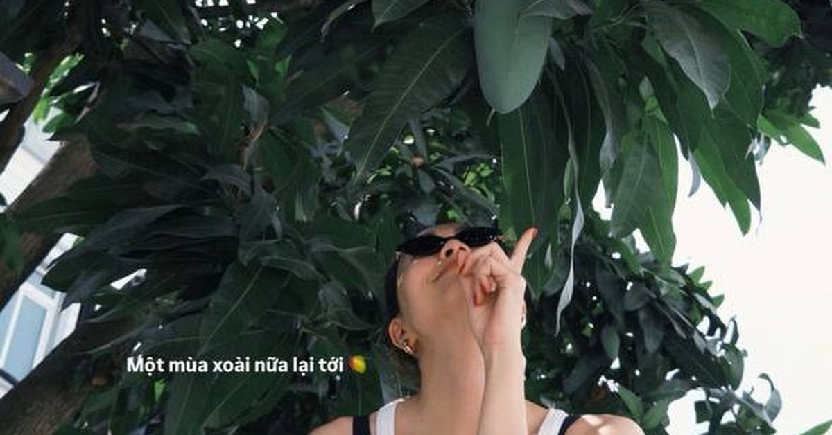 Tăng Thanh Hà, Mỹ Tâm, Doãn Hải My trồng gì kín biệt thự?