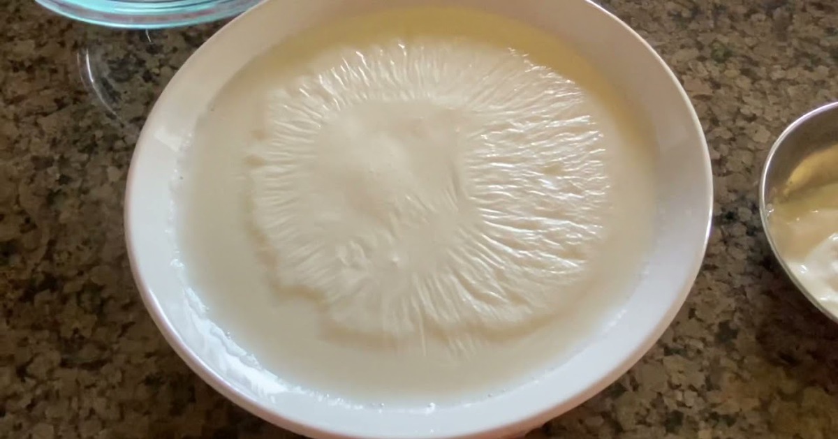 Nữ bác sĩ Nhật giảm 15kg nhờ kiểu ăn sữa chua "lạ đời