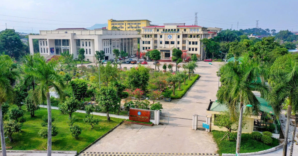 Đại học Đà Nẵng có 206 GS, PGS, hướng tới top 500 châu Á