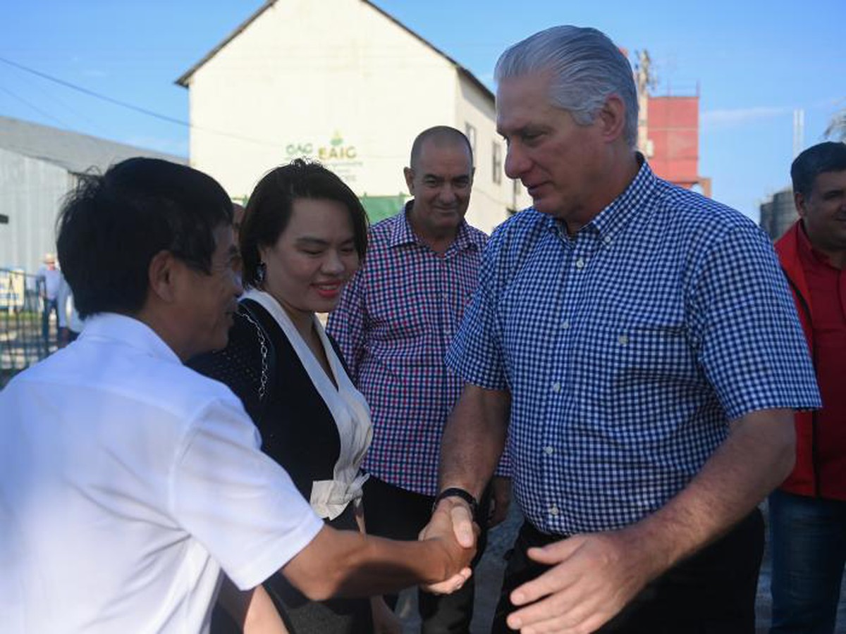Nhờ Việt Nam, Cuba đón vụ mùa lúa năng suất chưa từng có: Đích thân Chủ tịch Cuba xuống thăm, cảm ơn