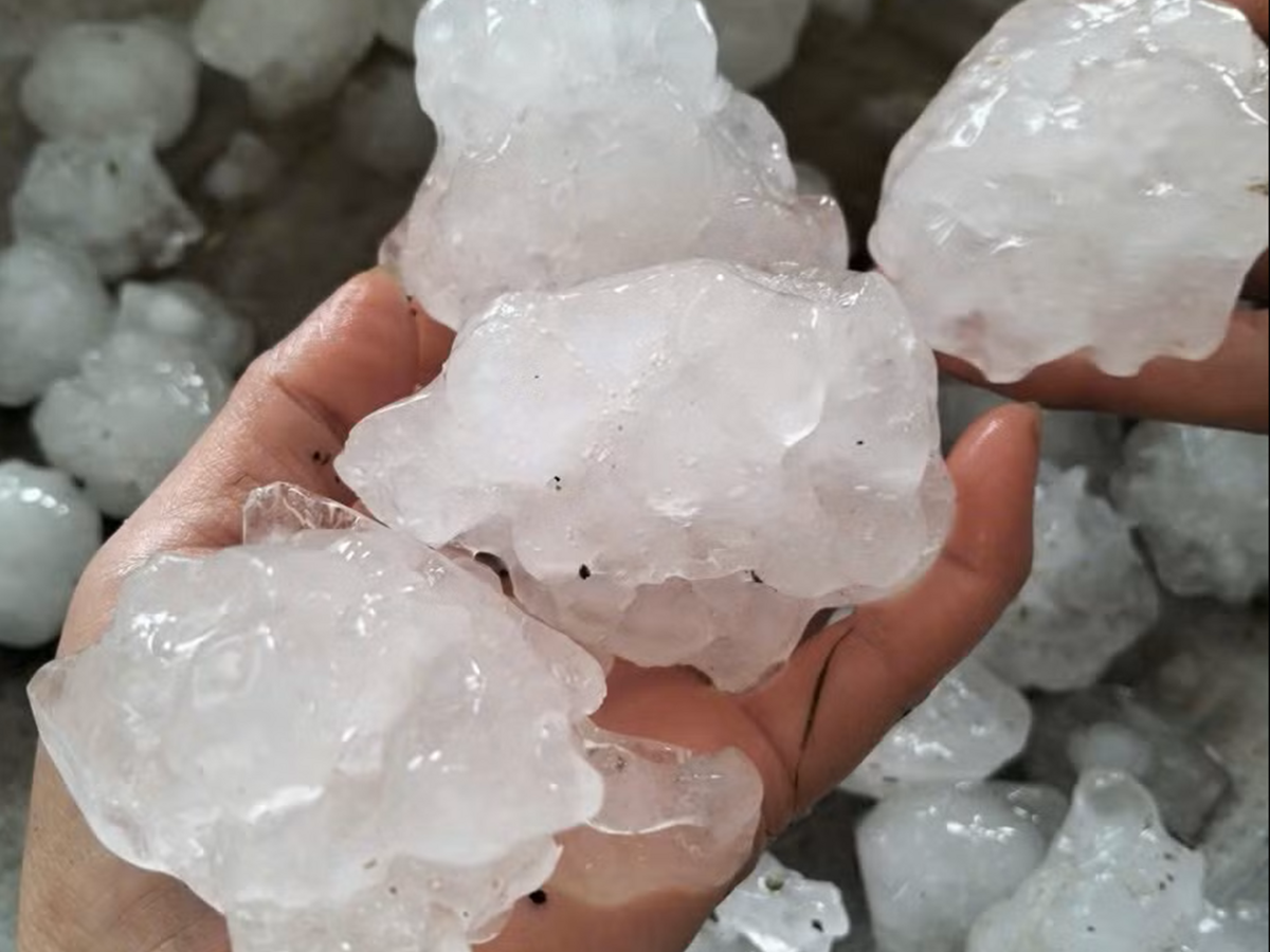 Mưa đá to bằng quả trứng trút xuống Nghệ An