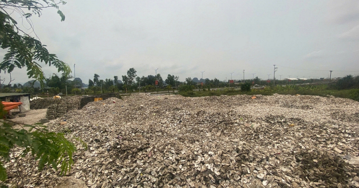 Ra quyết định khởi tố chủ cơ sở chế biến hàu Phạm Thị Thắm SN 1978