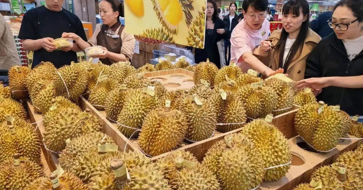 Phụ nữ mua 14kg sầu riêng với giá 1 triệu đồng gây sốt