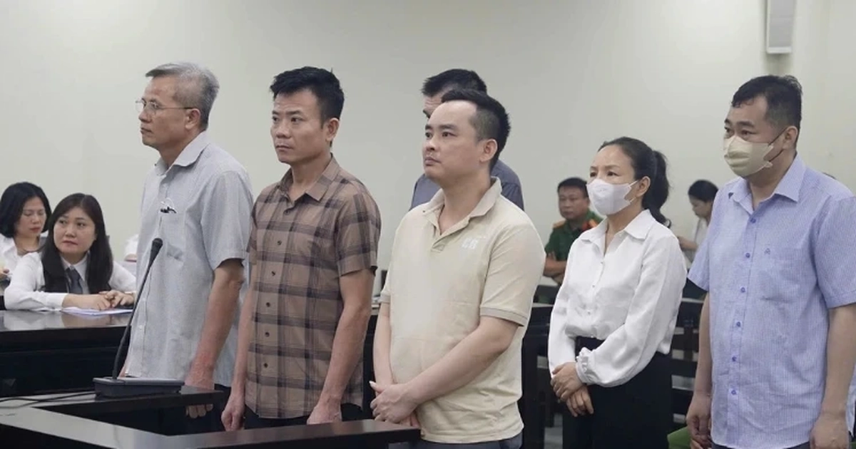 Cựu Chủ tịch Công ty Nam Triệu: "Các bị cáo làm sai giờ đổ hết cho tôi"