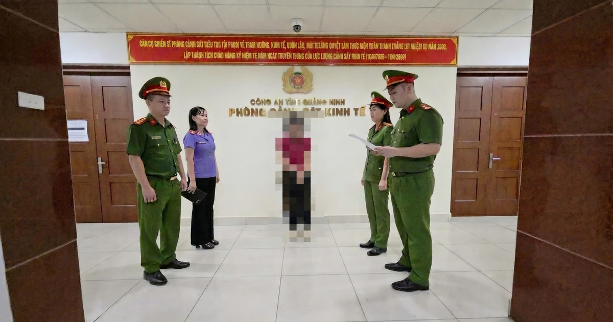 Ra quyết định khởi tố hàng loạt Giám đốc, cán bộ, nhân viên công ty