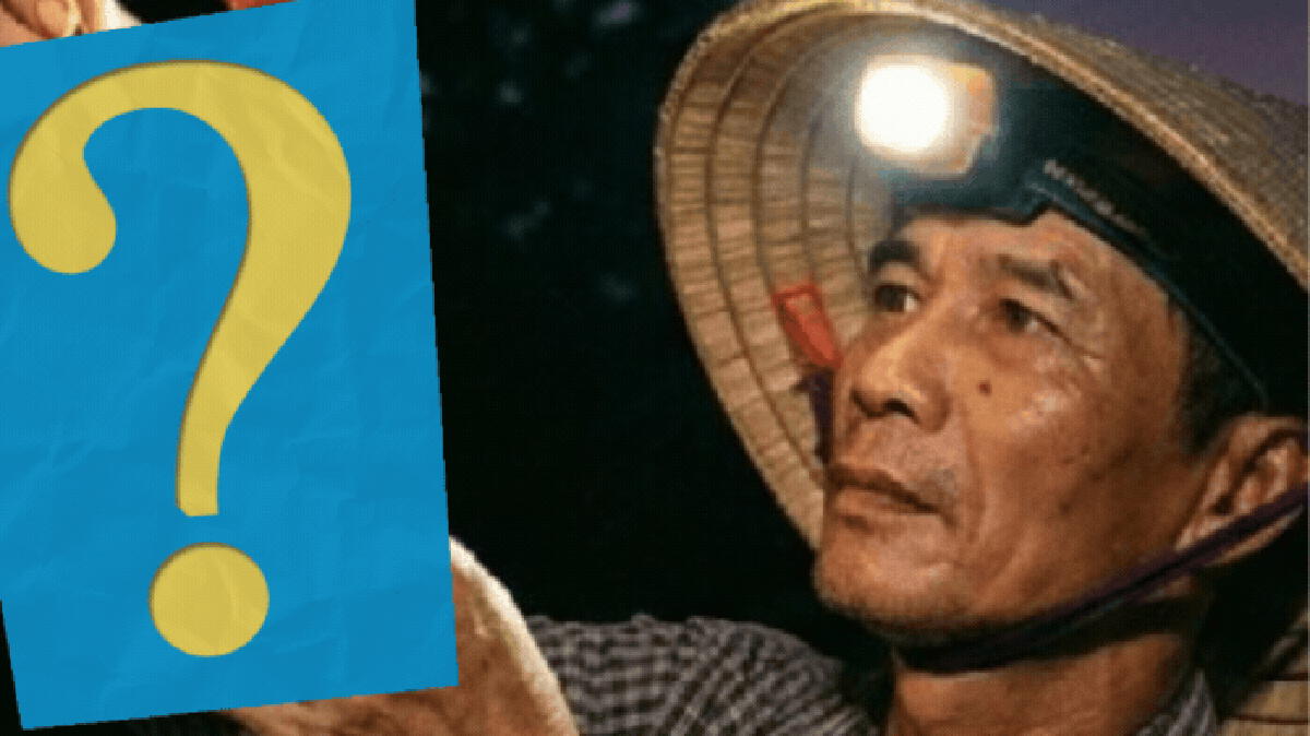 Nửa đêm thu hoạch, rạng sáng xuất khẩu: Loại quả này của Việt Nam đang được Trung Quốc săn đón đặc biệt