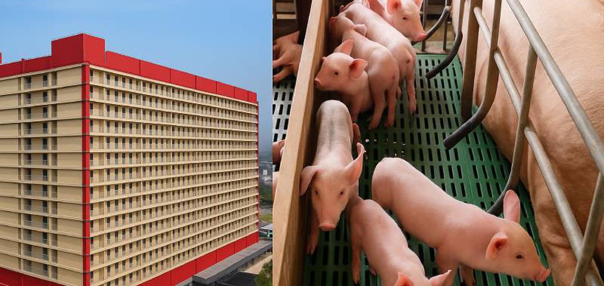 Lạ lùng: Một doanh nghiệp đề xuất xây "chung cư...