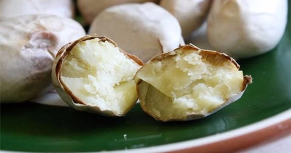 Lợi ích sức khỏe bất ngờ từ hạt mít - nguồn dinh dưỡng bị lãng quên