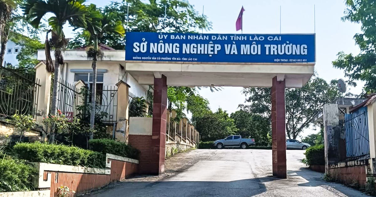 Phát hiện cán bộ Sở Nông nghiệp và Môi trường Lào Cai tử vong tại trụ sở