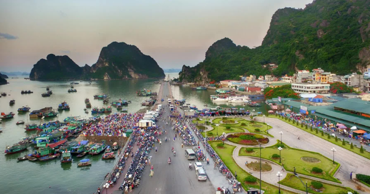 Bài viết