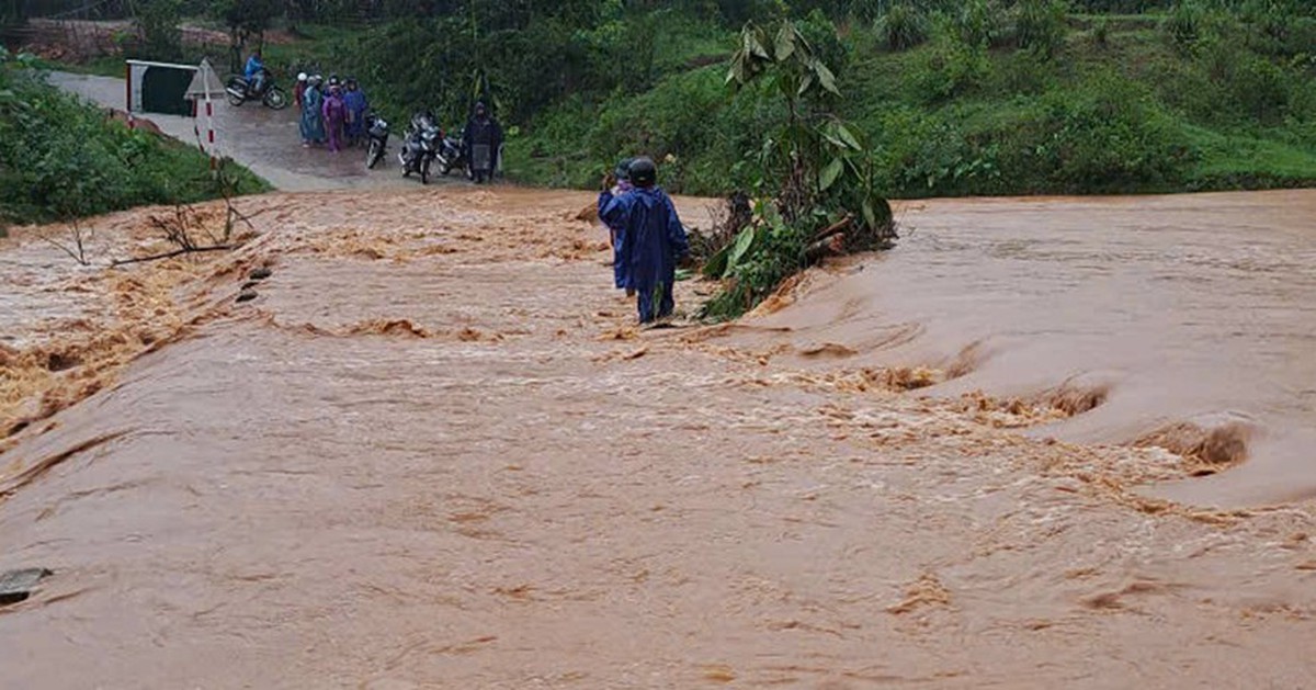 Bài viết