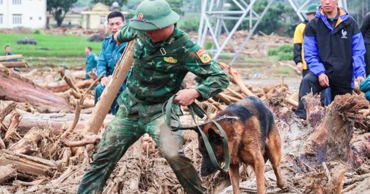 Thi thể một nạn nhân lũ quét ở Lai Châu được tìm thấy cách hiện trường gần 20 km