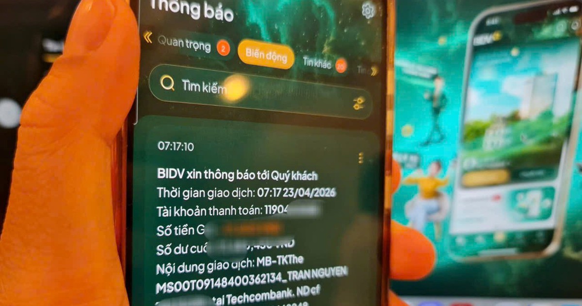 Bài viết