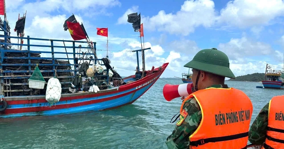 Quảng Ninh cấm biển, gấp rút ứng phó bão số 1