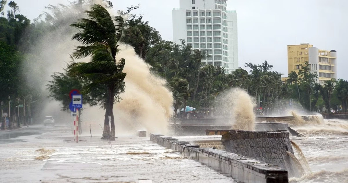 Hải Phòng cấm tàu thuyền ra khơi