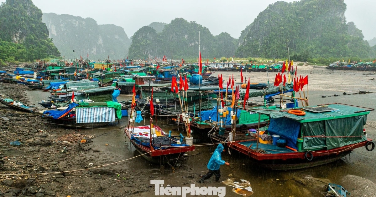 Bão số 1 áp sát Quảng Ninh, ngư dân dầm mưa chằng chống tàu thuyền tránh bão