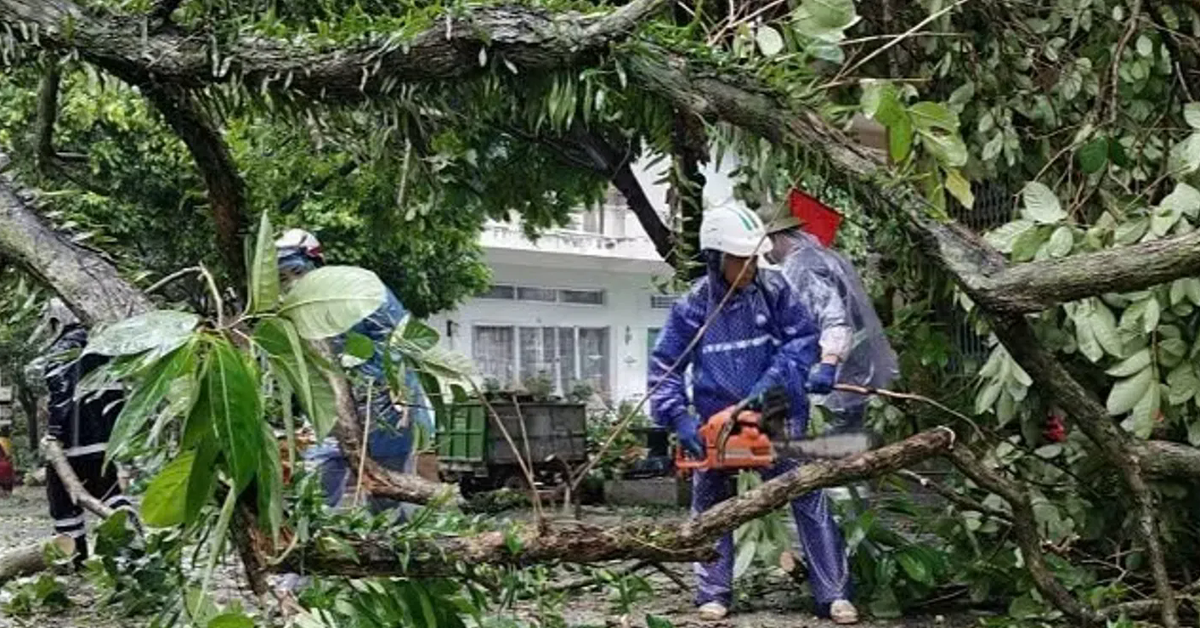 Quảng Ninh thiệt hại khoảng 20 tỷ đồng do bão số 1
