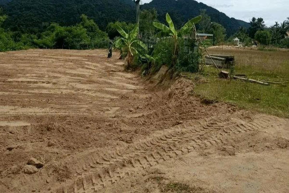 San đất để làm vườn, người dân phát hiện vật hình hộp màu xanh lạ, chuyên gia xác nhận báu vật hiếm có 600 năm tuổi