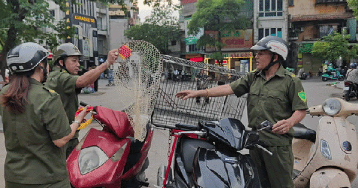 Theo chân lực lượng bắt chó thả rông, không rọ mõm ở Hà Nội