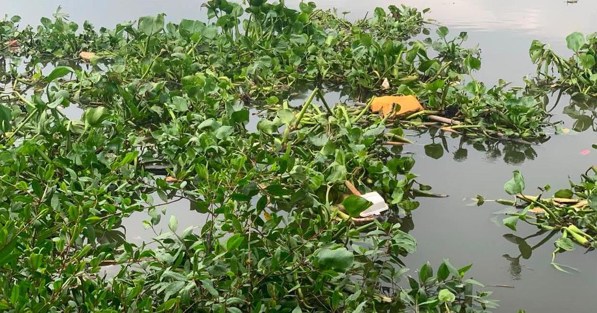 Tìm nhân thân người phụ nữ tử vong, trôi trên sông Sài Gòn