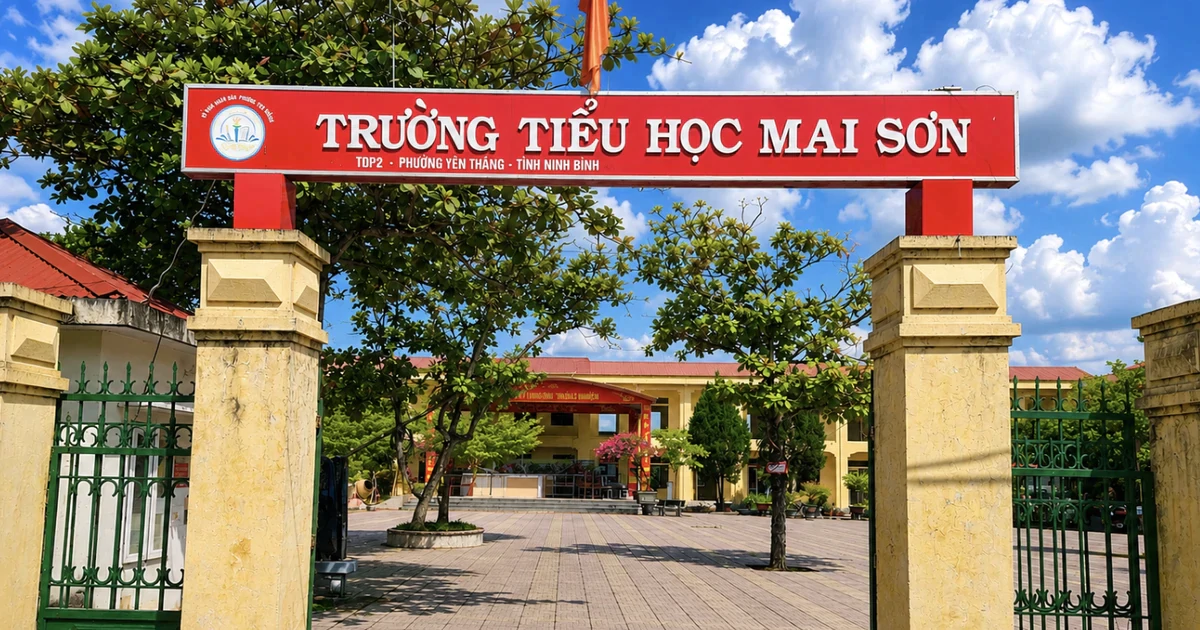 Nữ hiệu trưởng đập bàn, ném cốc khi về thăm trường cũ: Chính quyền nói gì?
