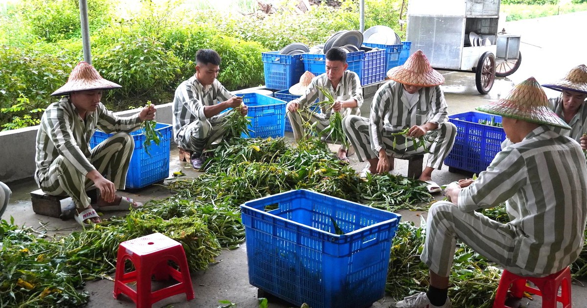 Hơn 13.000 người chấp hành xong án phạt tù được vay 1.000 tỷ đồng vốn làm ăn