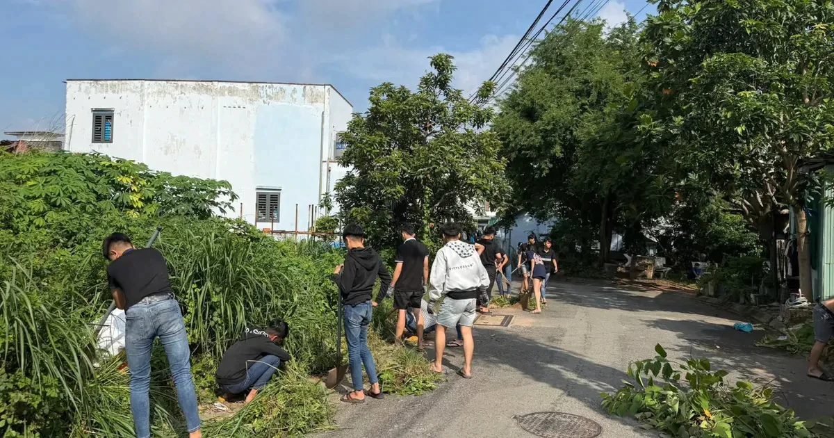 “Đi bão" quá khích, nhóm thanh thiếu niên phải dọn vệ sinh đường phố