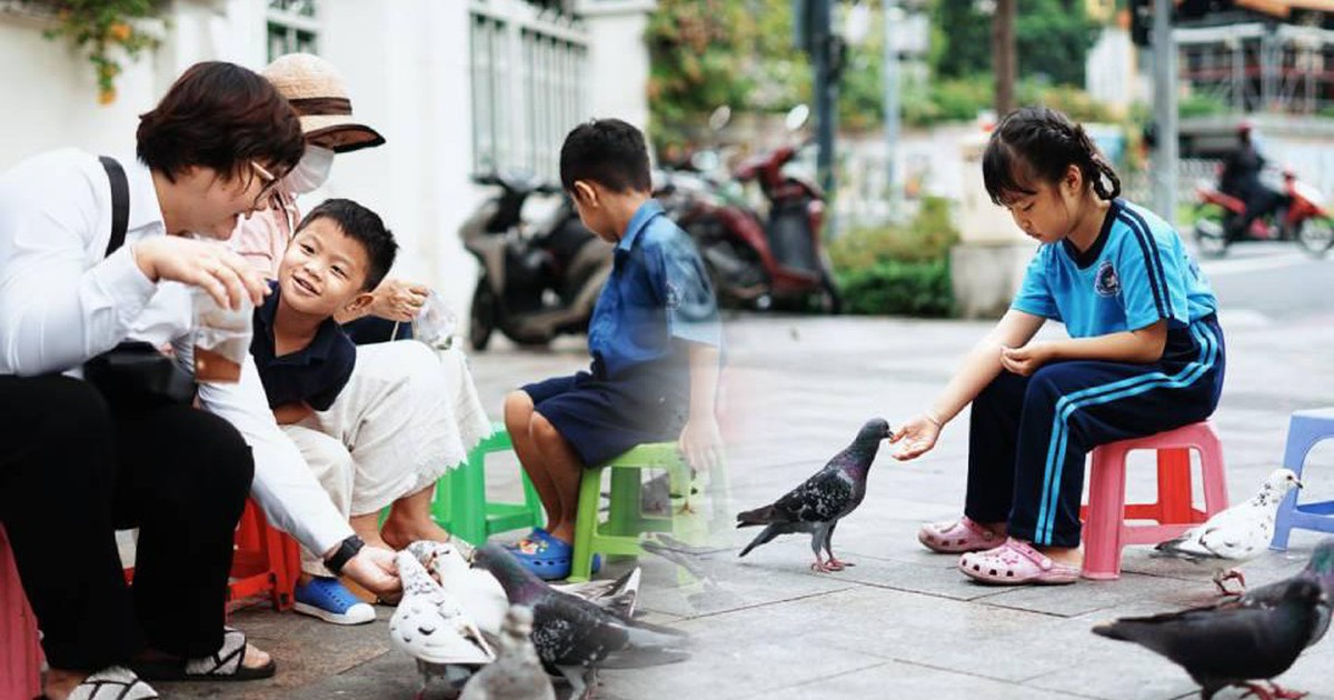 Ở giữa lòng TP.HCM có một đàn bồ câu được người dân “thương” lắm, sáng sáng lại ríu rít xuống phố!