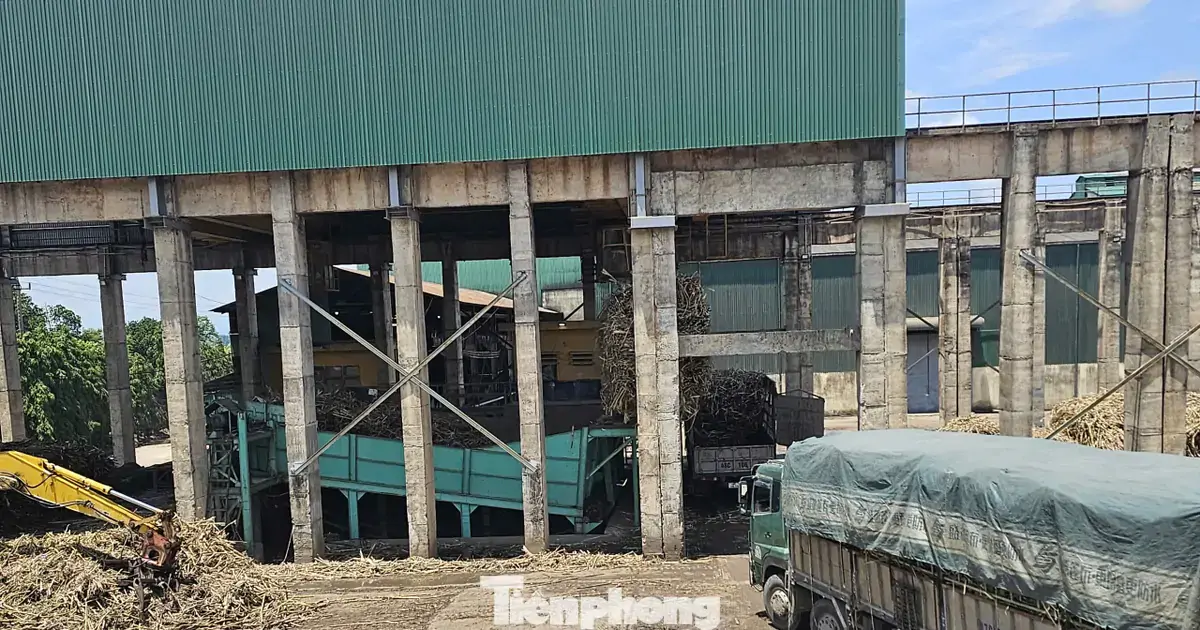 Công ty Cổ phần Mía đường 333 bị phạt 1,5 tỷ đồng