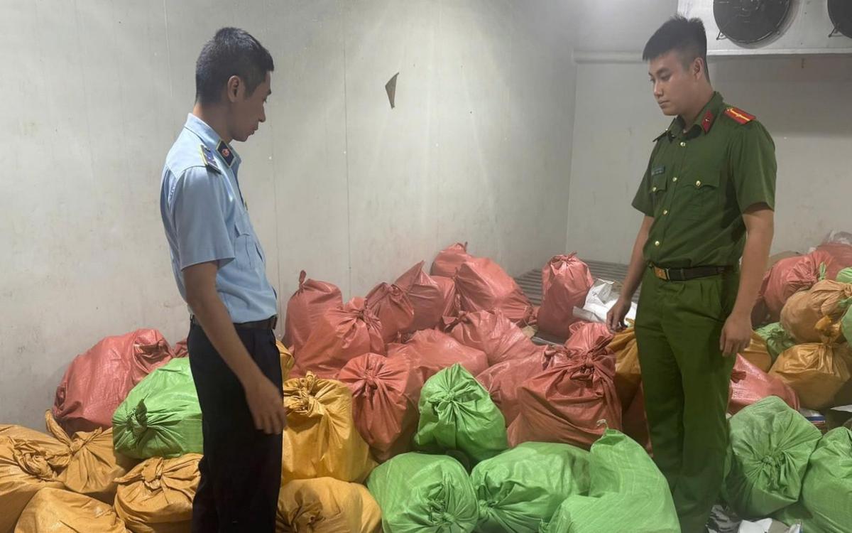 Kiểm tra kho hàng của Phùn Thị Thủy SN 1988, phát hiện loạt bao tải dứa buộc kín khả nghi: Lời khai của chủ kho hé lộ điều gì?