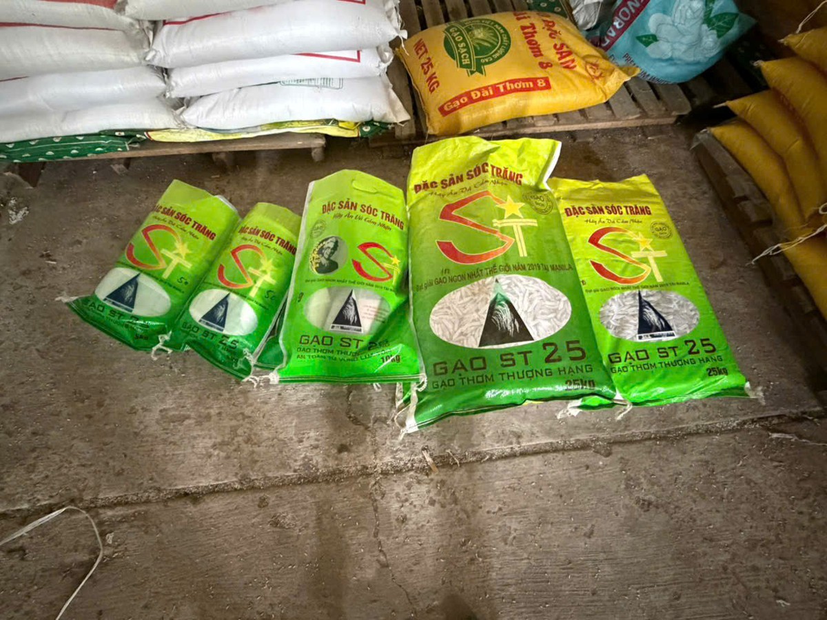 Kiểm tra Hộ kinh doanh Chí Cường, thu giữ 7.705 kg gạo giả mạo nhãn hiệu ST25