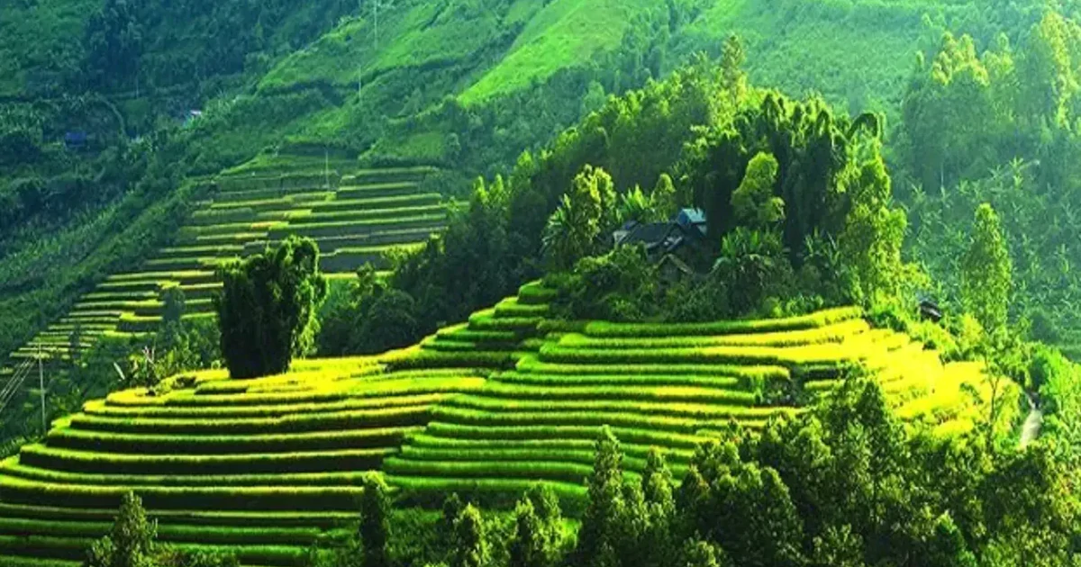 Ecopark Hải Dương và tỷ phú “ăn chay” Xuân Trường nhắm tới “viên ngọc xanh” của núi rừng Tây Bắc