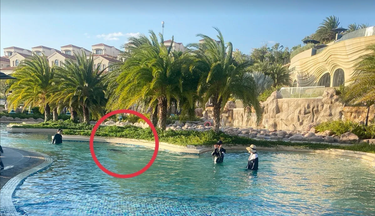 Vụ bé 11 tuổi người Nhật tử vong ở hồ bơi tại resort: Khởi tố bị can Nguyễn Quốc Quân SN 1961