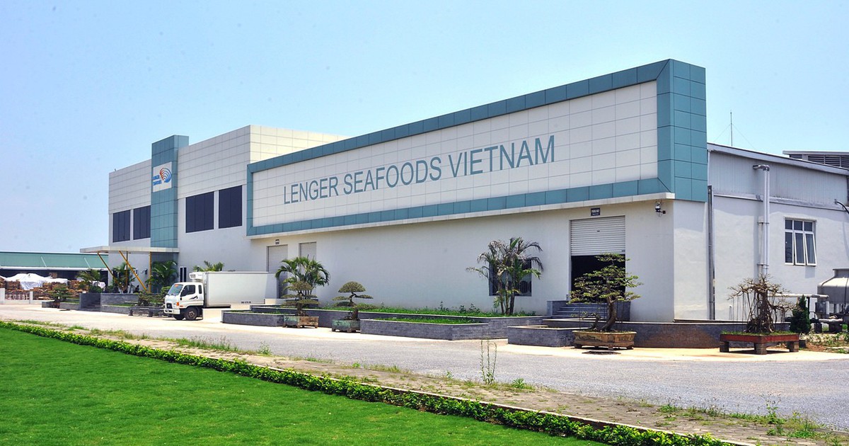 Tập đoàn Hà Lan bán nhà máy chế biến nghêu doanh thu hơn 500 tỷ/năm, công suất 300 tấn/ngày tại Ninh Bình