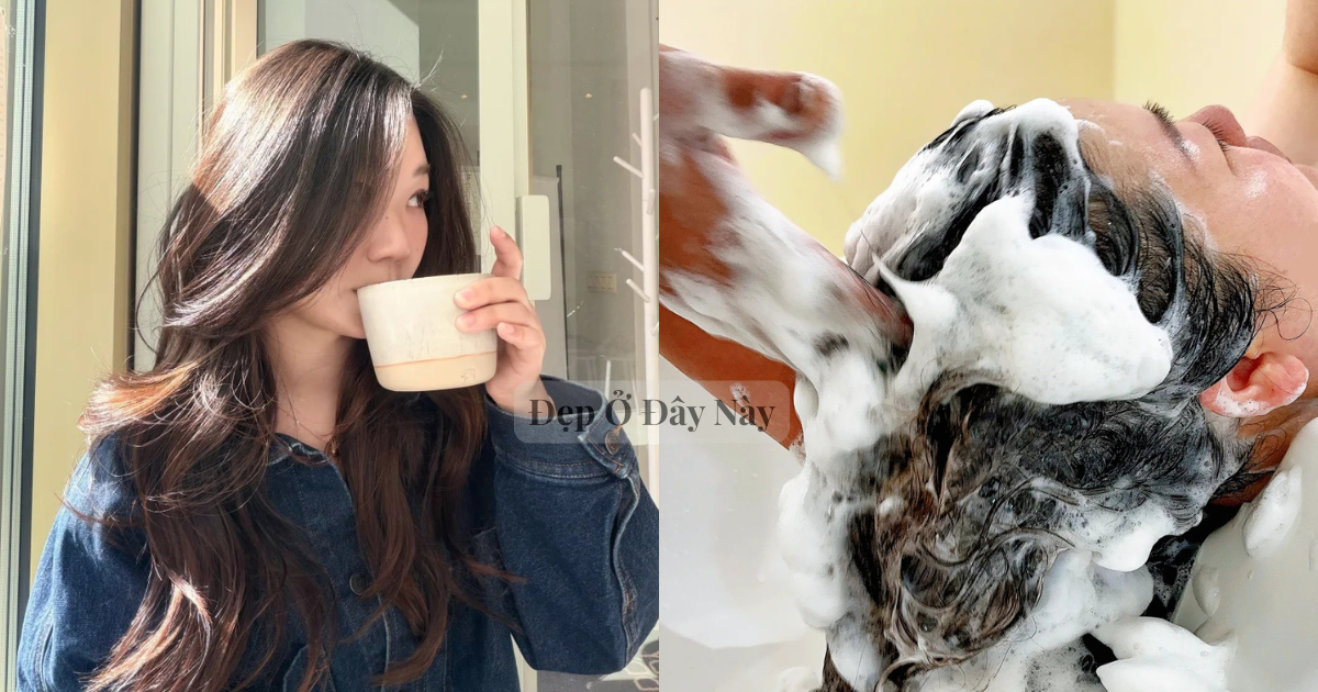 Vì sao tiệm làm tóc luôn gội đầu 2 lần?