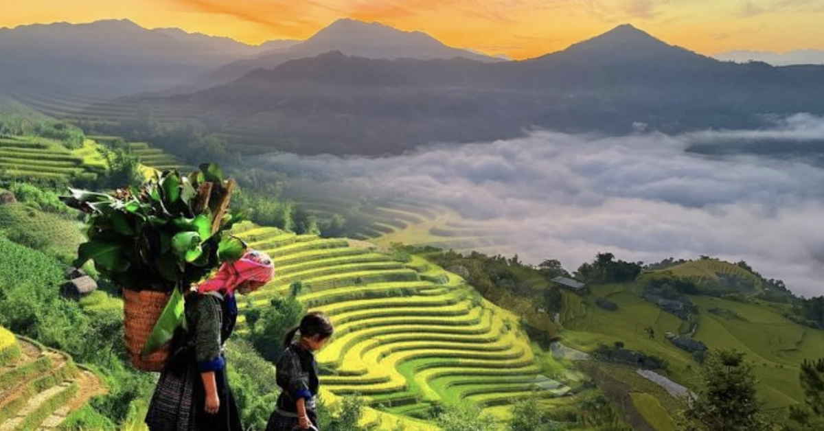 Phát hiện dân tộc hơn 15.000 người ở Việt Nam ăn Tết vào tháng Bảy âm lịch, sở hữu ruộng bậc thang top 51 điểm đến đẹp nhất thế giới