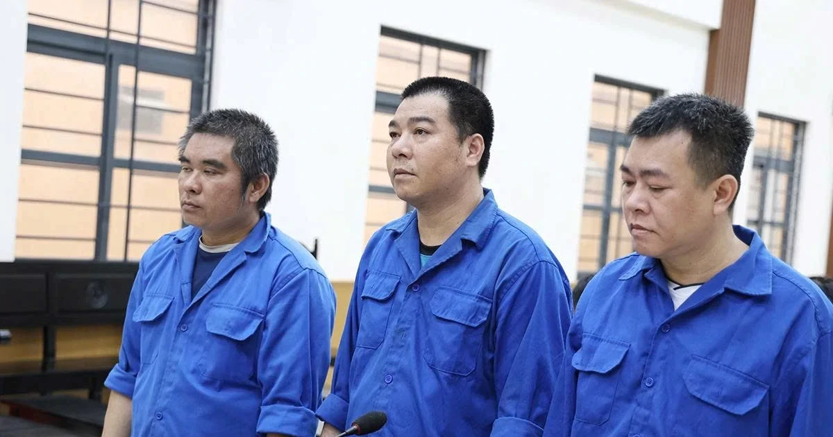Nhóm đối tượng cướp gần 55 tấn cá tra lãnh 34 năm tù