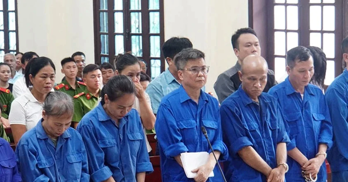 Nguyên Tổng giám đốc Công ty CP Đồ hộp Hạ Long lĩnh 19 năm tù