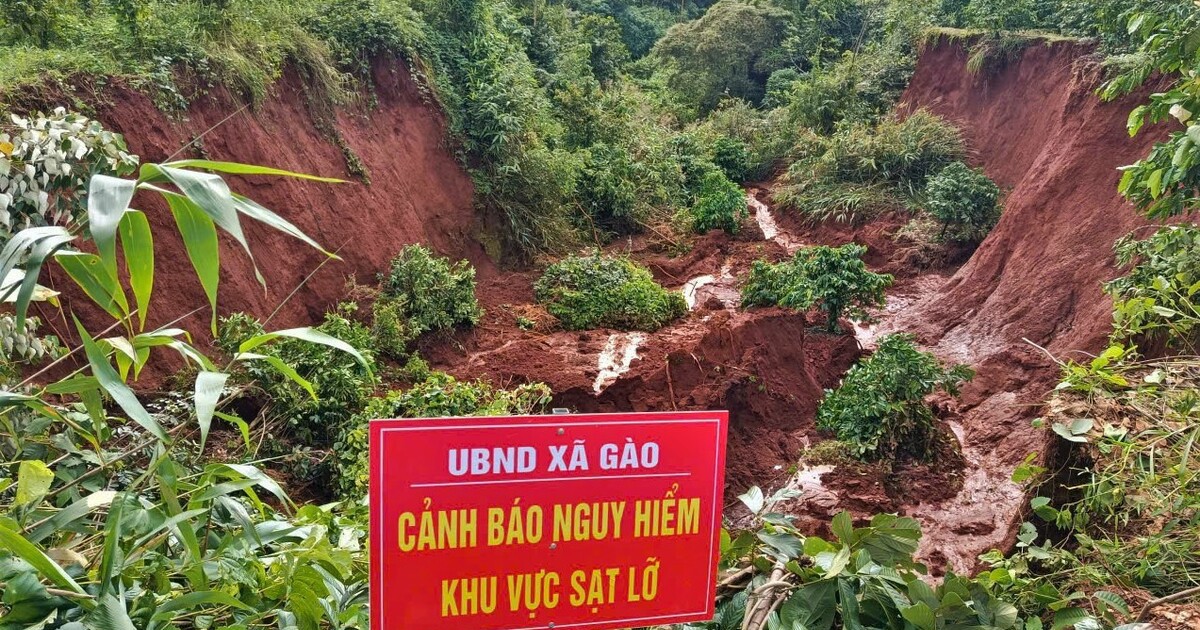 Sạt lở đồi sau mưa lớn vùi lấp nhiều rẫy cà phê, hoa màu ở Gia Lai
