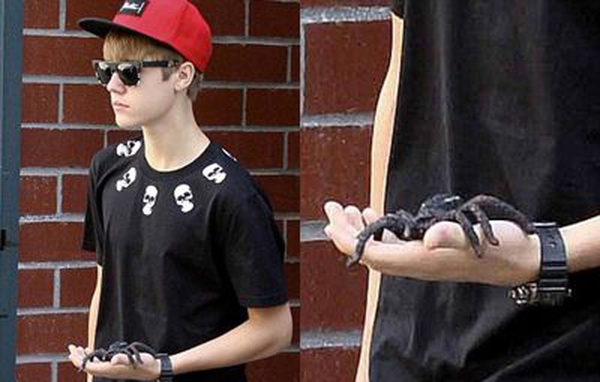 Justin 