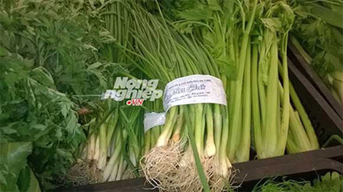 Hàng loạt siêu thị lớn Hà Nội 