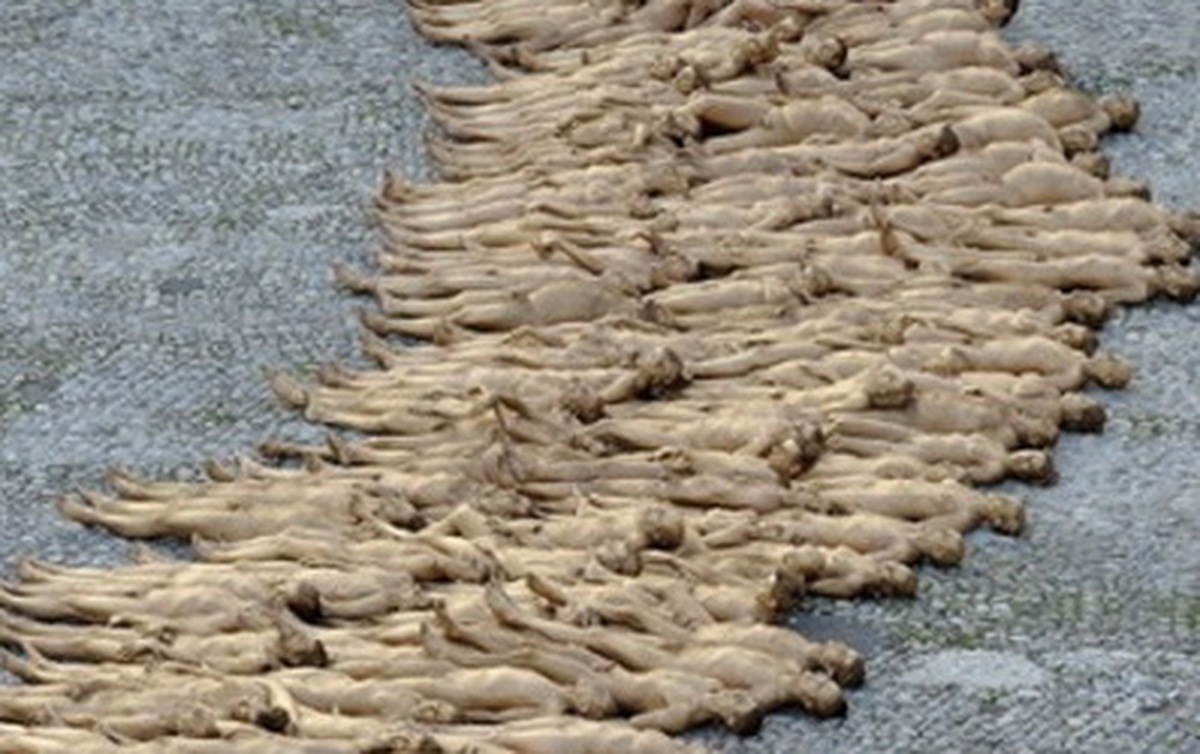 1.700 người cùng khỏa thân nơi công cộng