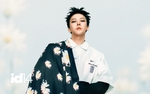 Bông cúc khuyết cánh đang thâu tóm thế giới: Khi sự bất toàn của G-Dragon trở thành hệ điều hành văn hóa