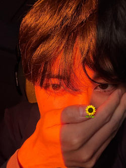 Đàn ông Hàn Quốc ồ ạt mang ảnh 1 mỹ nam đến phòng khám