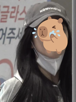 Tình trạng của Jisoo trong lần đầu lộ diện giữa bão drama: Diện mạo có đúng 4 từ để nói