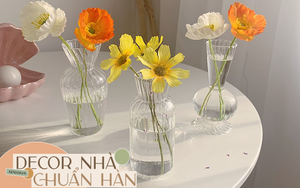 8 bình thủy tinh xinh xắn dành cho hội ghiền decor nhà kiểu Hàn giá chỉ từ 45K