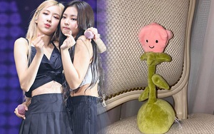 Jennie tặng Rosé hoa hồng nhồi bông kìa, mua hơi khó nhưng thay bằng mấy em củ quả bông này cũng 