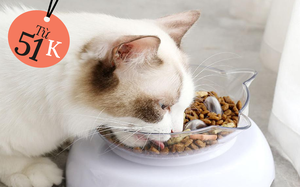 List những m&oacute;n 