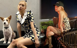 Mê váy hoa cúc hàng hiệu của Rosé thì đây là những mẫu na ná siêu rẻ chỉ từ 65k cho bạn