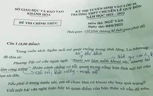 Đề thi Văn vào lớp 10 bị đánh giá phản cảm: 